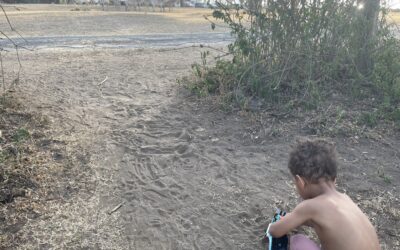 Play is Everywhere