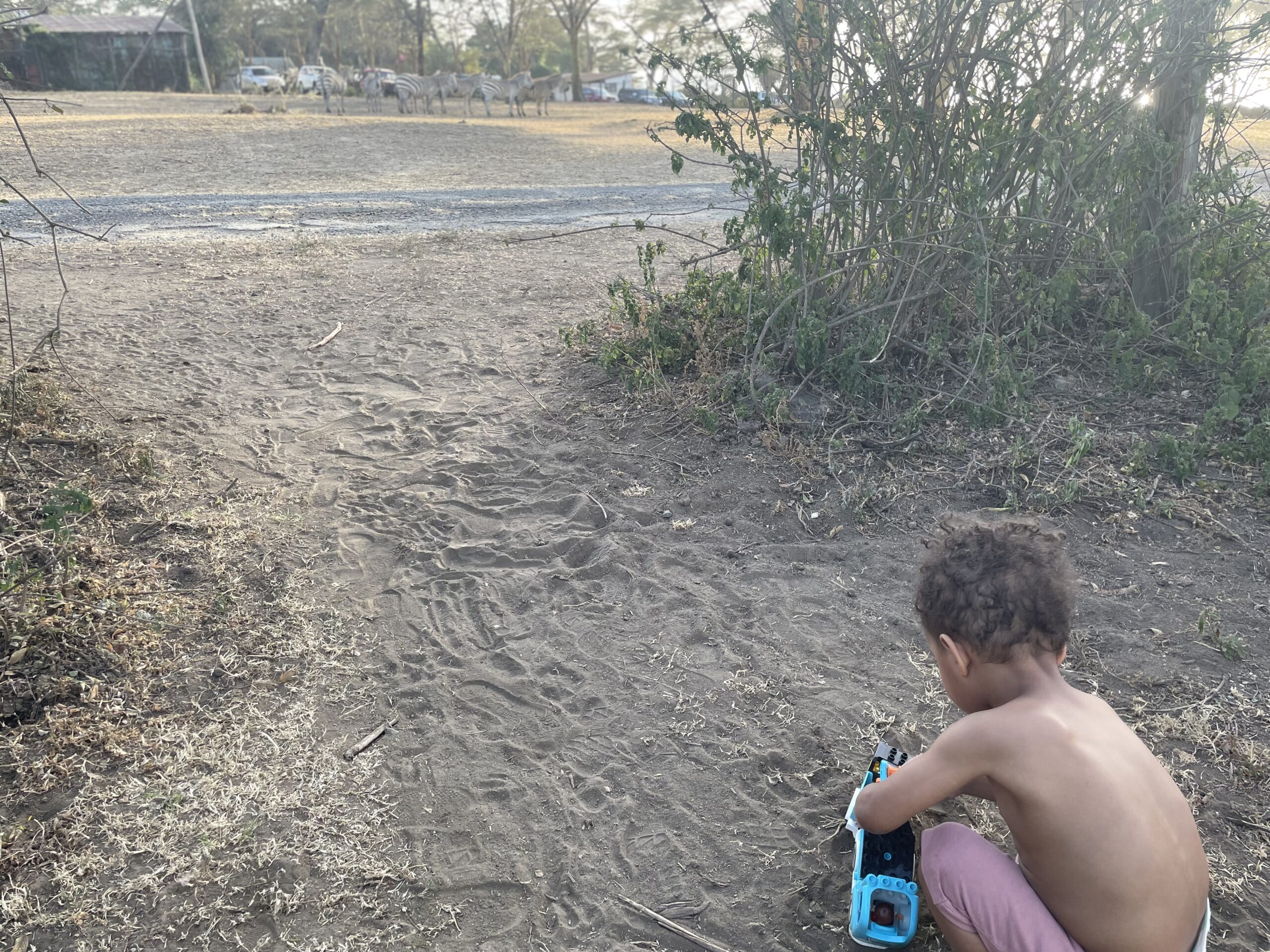 An image of a young child playing with a toy in the sand, with zebras in the distance