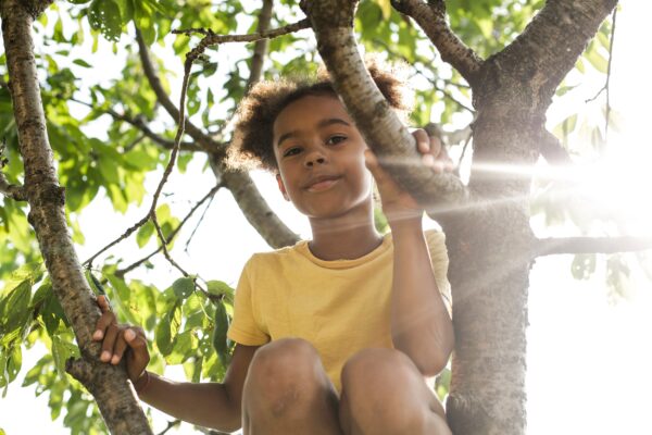 a child sat in a tree
